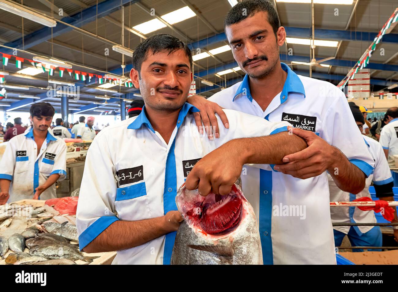 Dubai. UAE. The Fish Market Stock Photo Alamy