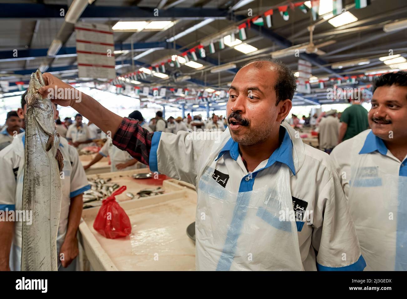Dubai. UAE. The Fish Market Stock Photo Alamy