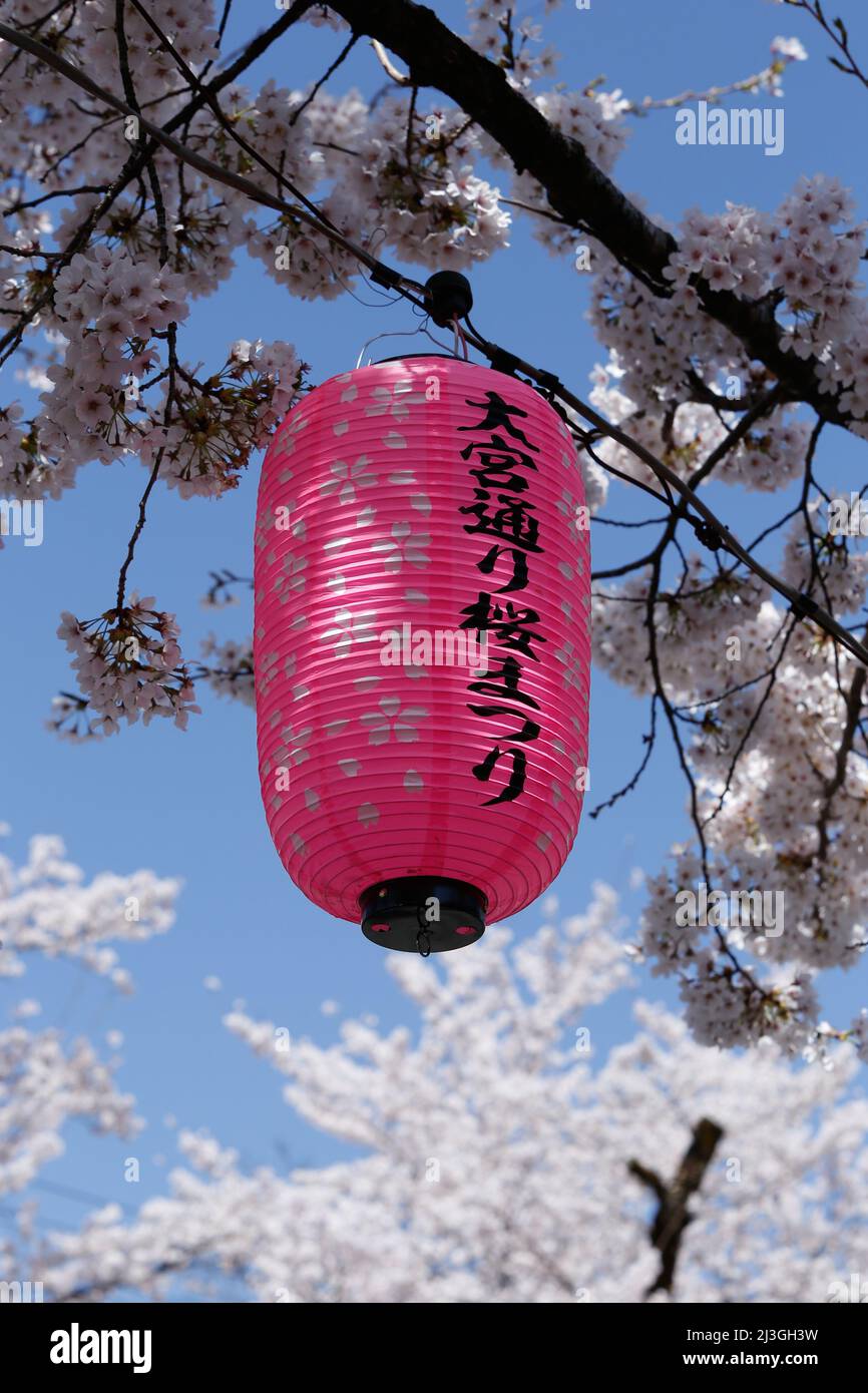 iida, nagano, japan, 2022/02/04 , Lanterns called Andon hanging on Ringo Road in the city of