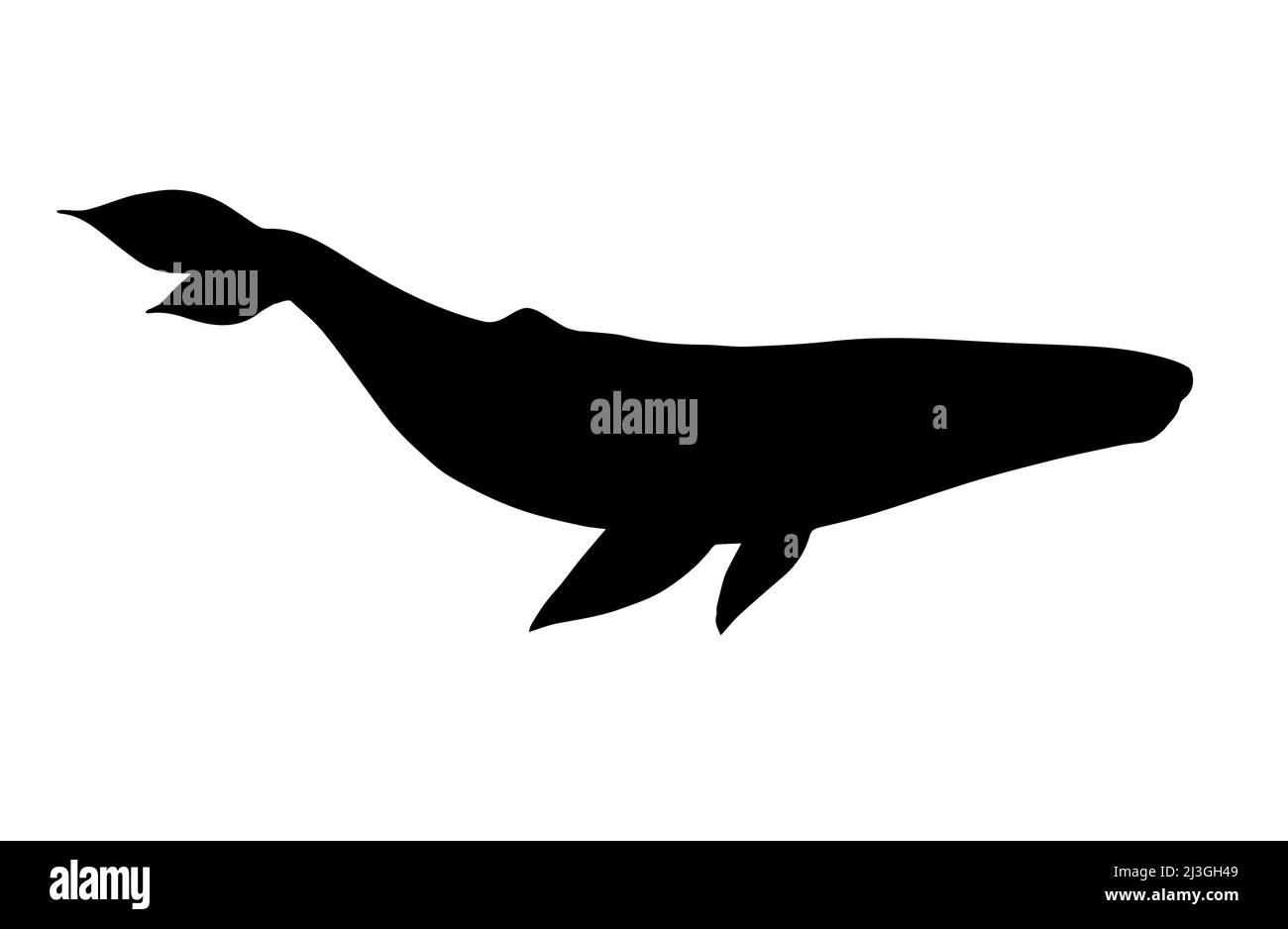 Vector black blue whale silhouette isolated on white background Stock ...