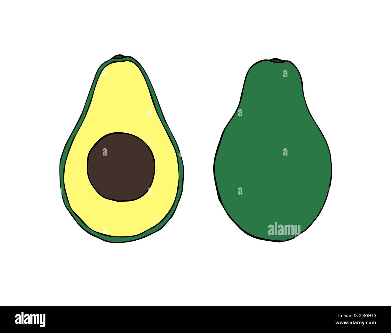 Vector hand drawn doodle sketch colored avocado isolated on white background Stock Vector