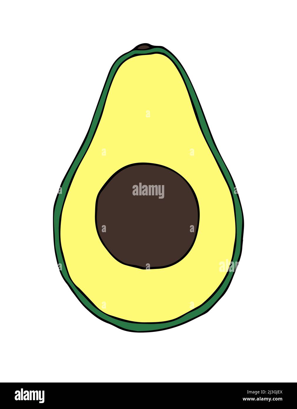 Vector hand drawn doodle single sketch colored avocado isolated on white background Stock Vector