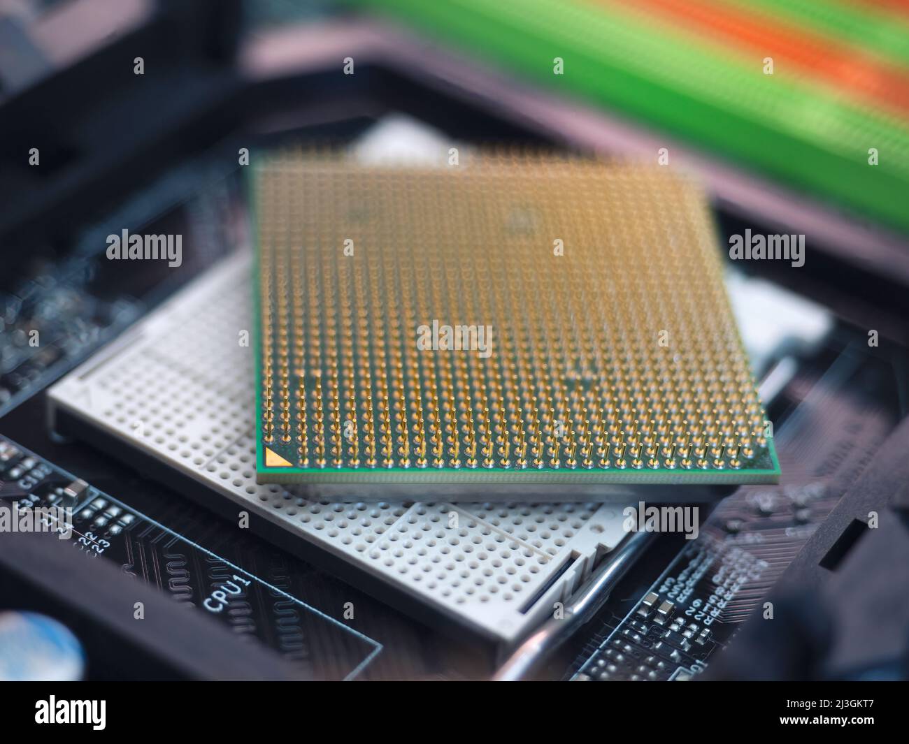 Closeup of computer CPU pins on motherboard socket, with contacts.  Selective focus on CPU pins Stock Photo - Alamy