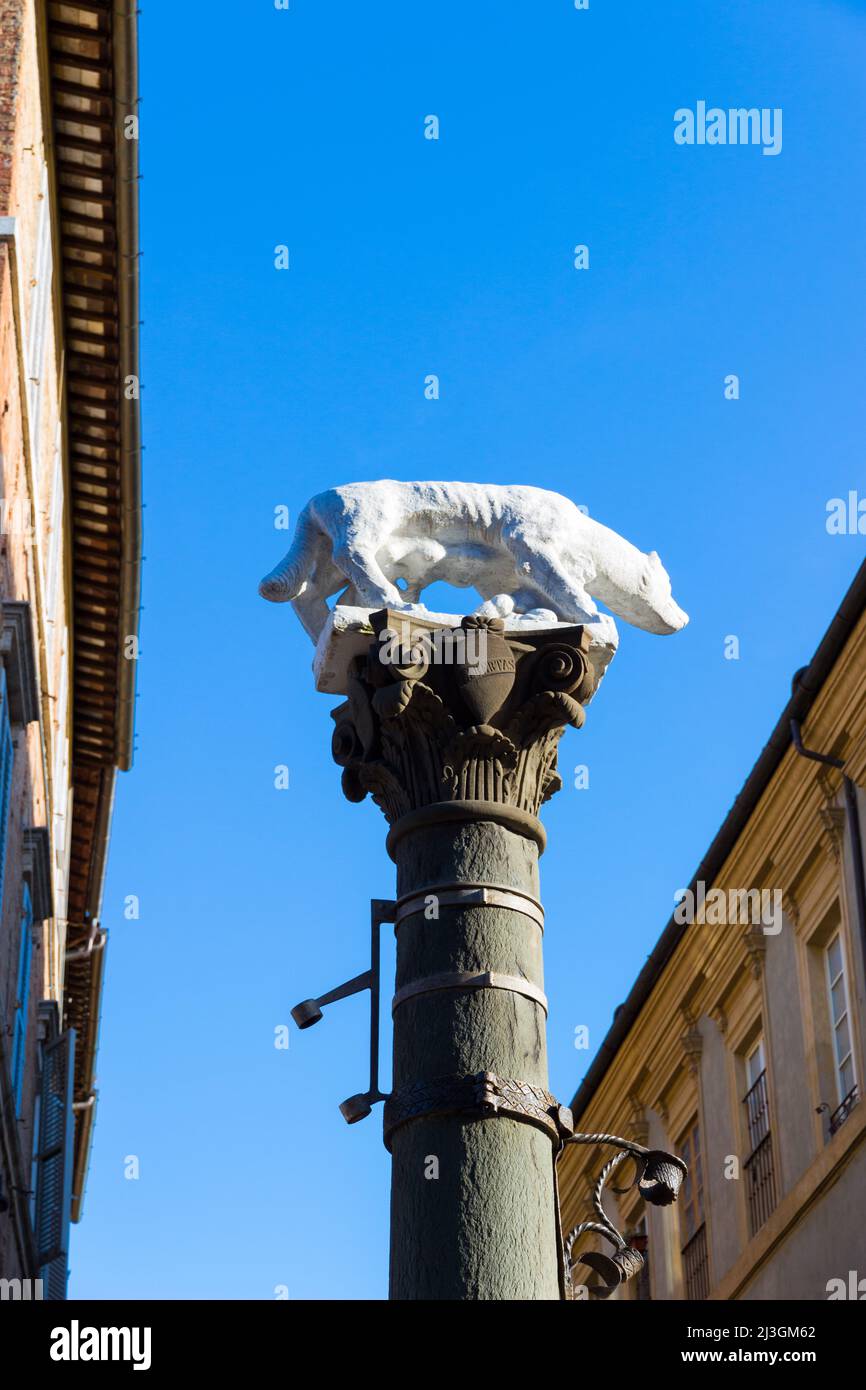 Siena, Tuscany, Italy: the Sienese She-Wolf located in Via Pantaneto in a sunny day Stock Photo