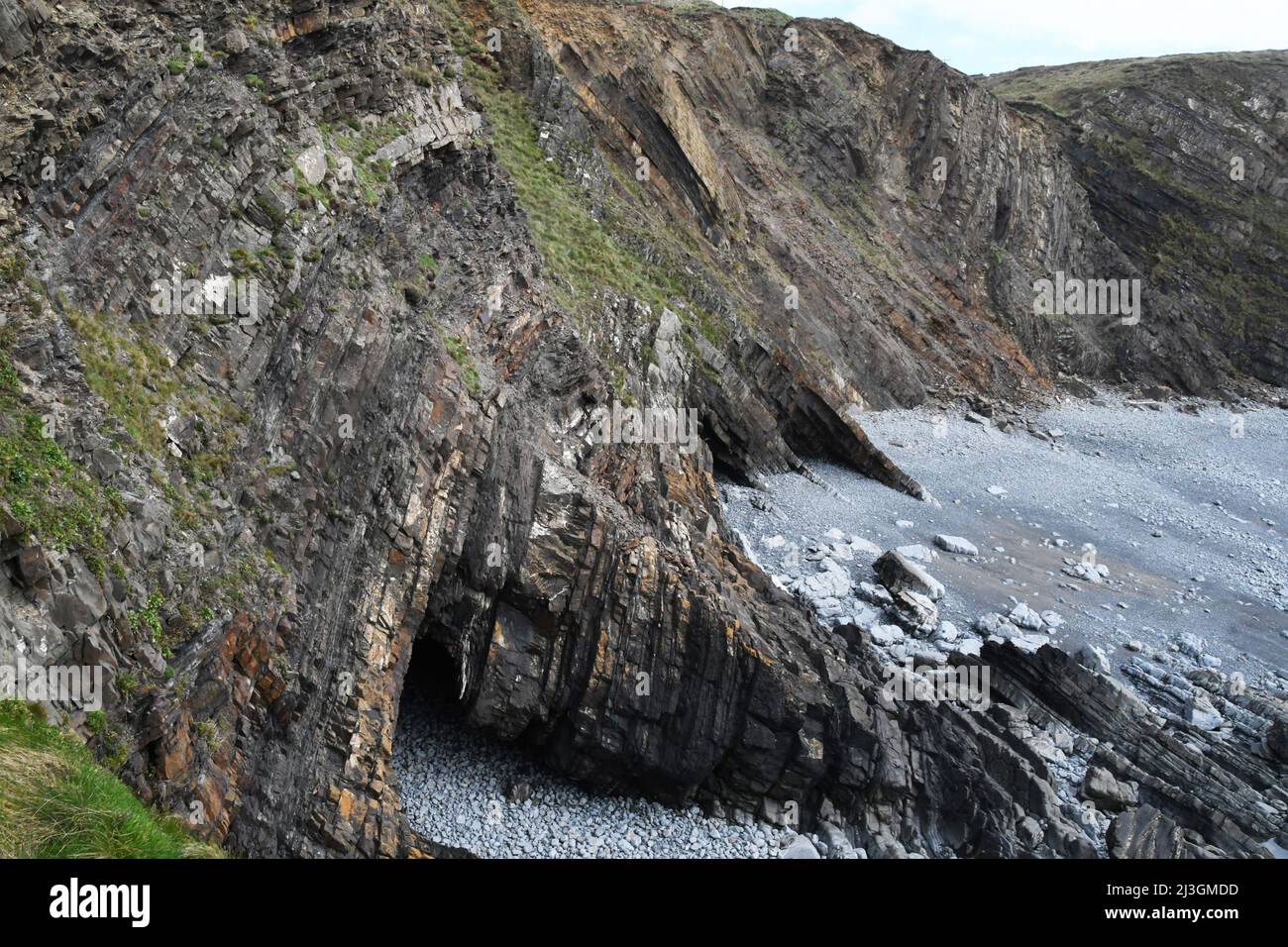 The cliffs showing the tortured strata at Hartland Quay in Devon displaying a spectacularl folded sequence of alternating grey shales and sandstones k Stock Photo