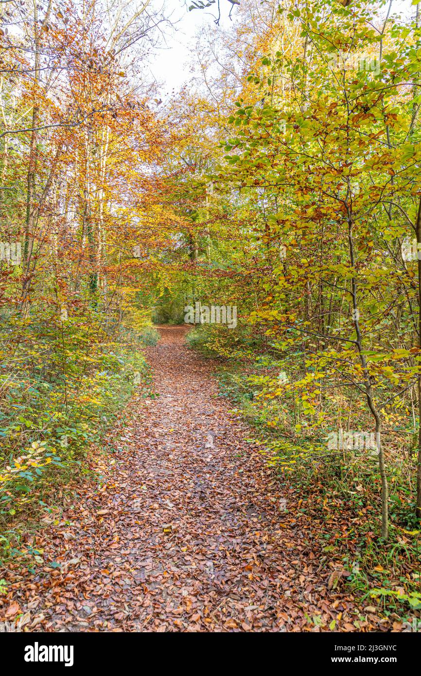 Autumn in the Cotswolds The Cotswold Way long distance footpath