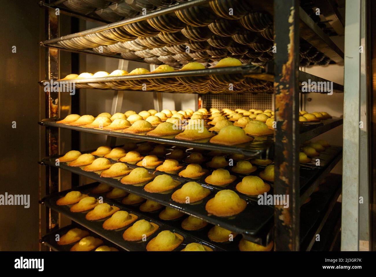 France, Meuse, Commercy, madeleines baking in the oven of the shop and madeleine-making workshop of Commercy La Boite à Madeleines by the Zins brothers, madeleiniers since 1951 Stock Photo
