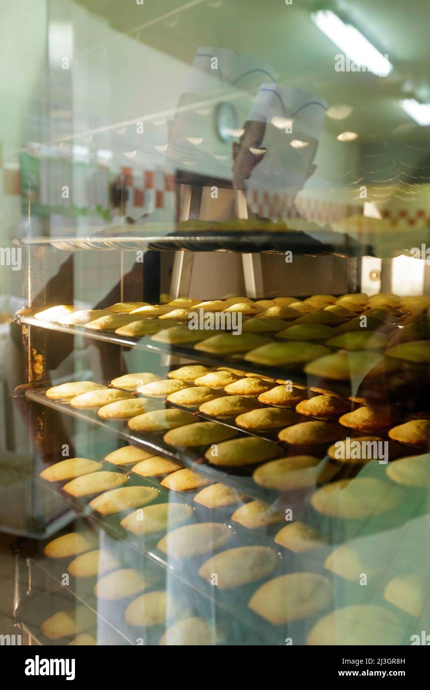 France, Meuse, Commercy, reflection of Stéphane Zins in the window of the madeleine baking oven in the Commercy La Boite à Madeleines shop and madeleine workshop of the Zins brothers, madeleiniers since 1951 Stock Photo