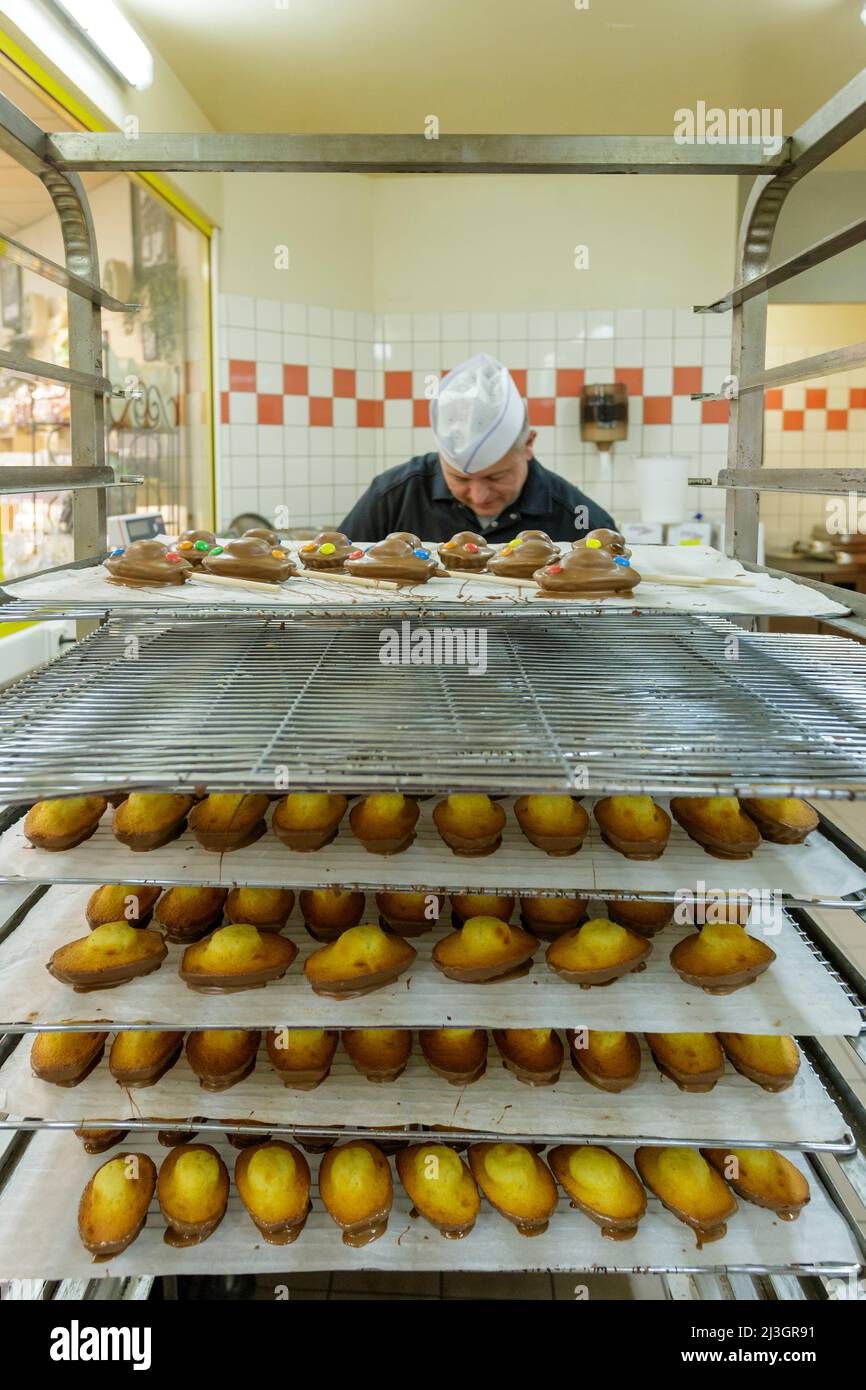 France, Meuse, Commercy, trolley of trays of chocolate madeleines and Thierry Zins with topping in the background in the shop and madeleine manufacturing workshop of Commercy La Boite à Madeleines of the Zins brothers, madeleiniers since 1951 Stock Photo