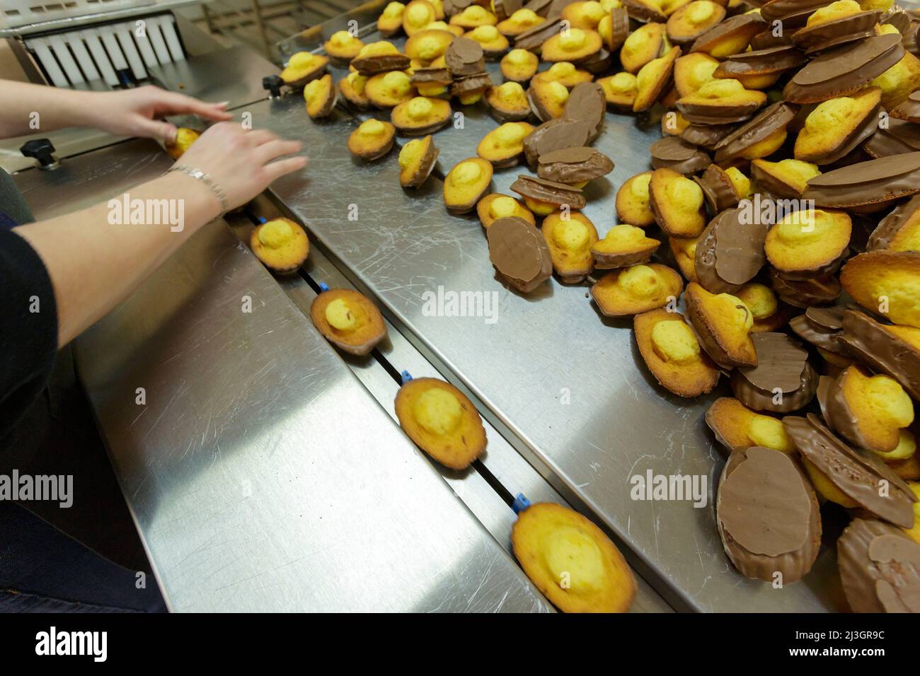 France, Meuse, Commercy, packing station for the madeleines of the shop and workshop for the manufacture of madeleines of Commercy La Boite à Madeleines of the Zins brothers, madeleiniers since 1951 Stock Photo