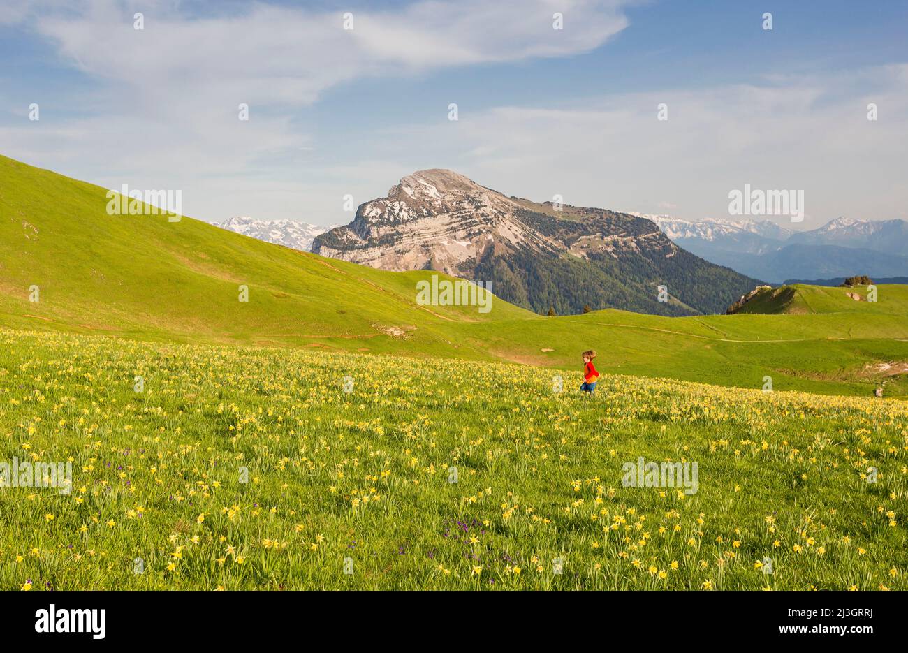France, Isère, regional natural park of Chartreuse, SaintPierre de