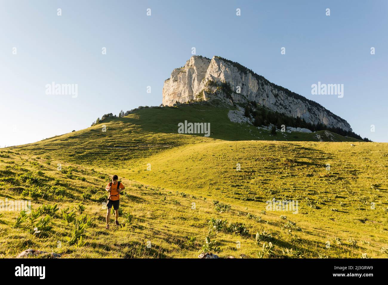 France, Isere, Chartreuse regional natural park, hike in the Hauts de Chartreuse nature reserve, Mont Granier (1933 m) Stock Photo