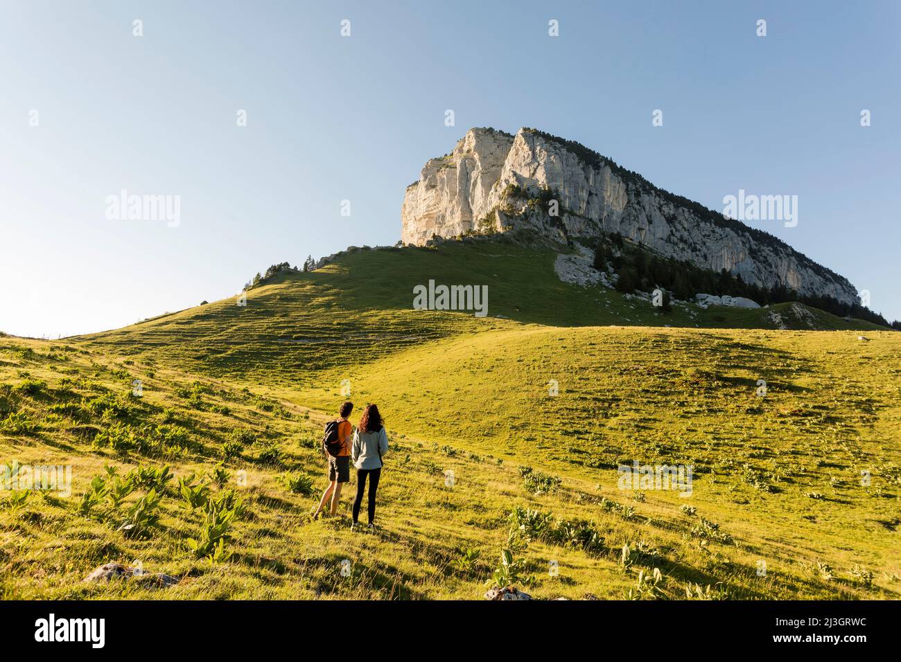 France, Isere, Chartreuse regional natural park, hike in the Hauts de Chartreuse nature reserve, Mont Granier (1933 m) Stock Photo