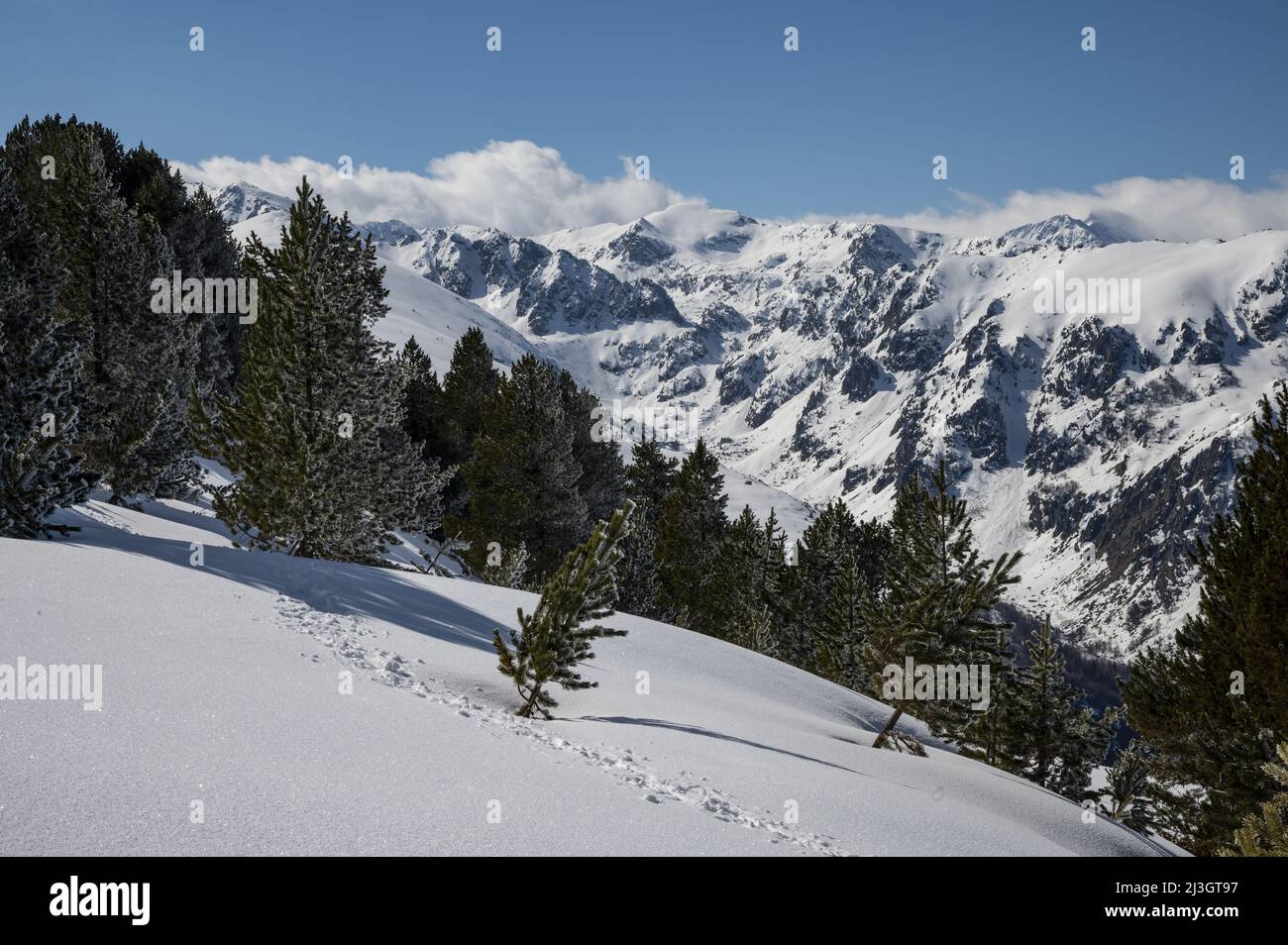 France, Ariege, Pyrenees massif; Les Cabannes, snowshoeing on the Beille plateau, a panoramic belvedere on the border peaks Stock Photo