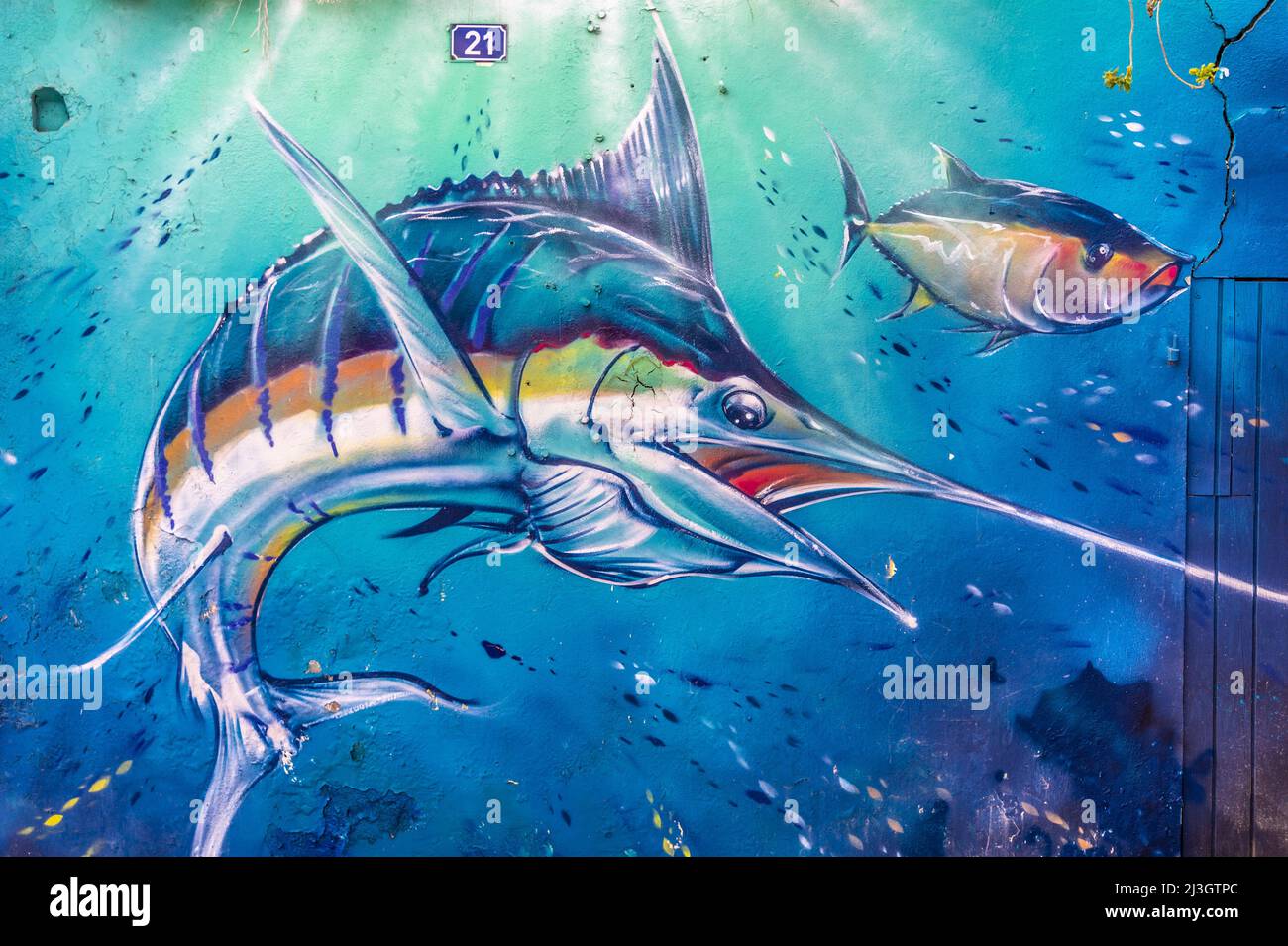 France, Lesser Antilles, French West Indies, Saint-Martin, Marigot, Marlin hunting in an underwater landscape, work by Indo-Guadeloupean street artist Jimmy SHEIKBOUDHOU Stock Photo