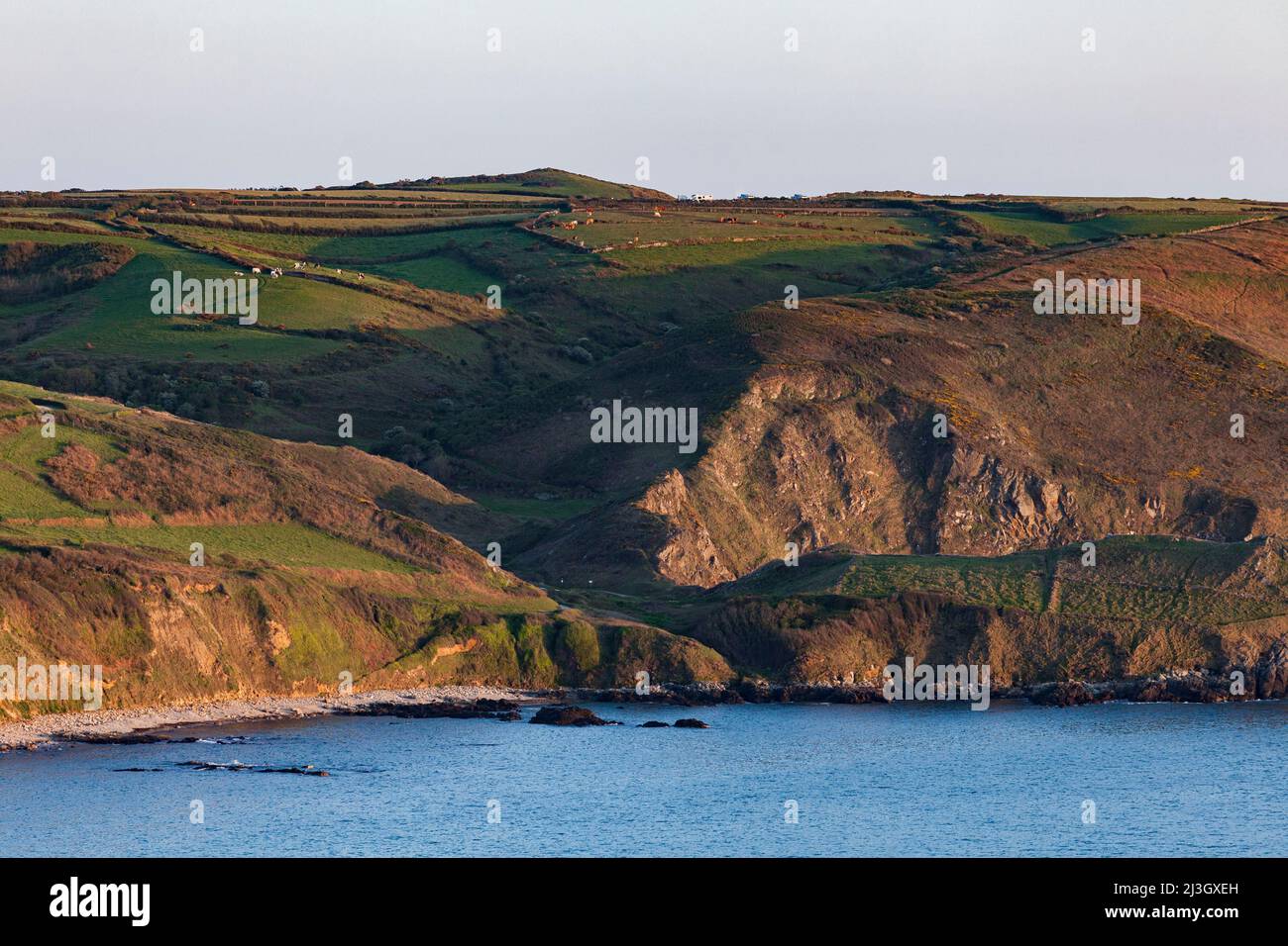 France, Manche, Cotentin, Cape Hague, Jobourg, bay of Ecalgrain, general view under golden hour warm light Stock Photo