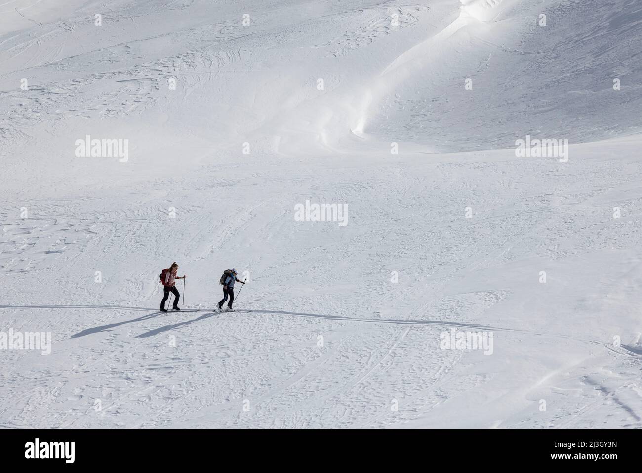 France, Hautes-Alpes, Névache, Ski touring raid, climbing to the Pointe du Demi (2817 m) Stock Photo