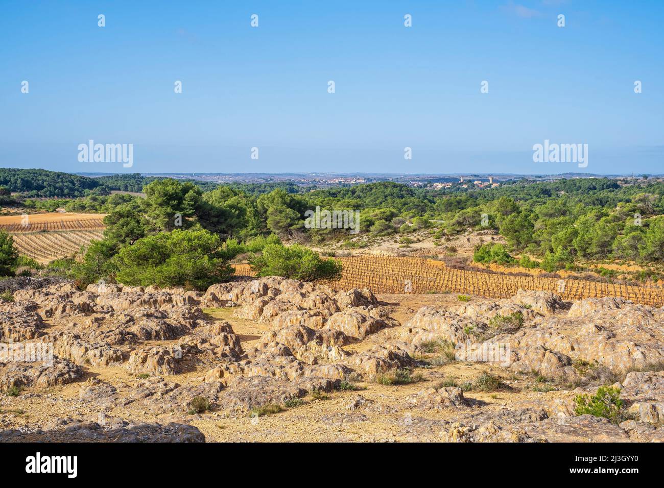 France, Herault, Castelnau-de-Guers, site of the Etendoir des Fées on the  Hermitage of Saint-Antoine hiking trail Stock Photo - Alamy