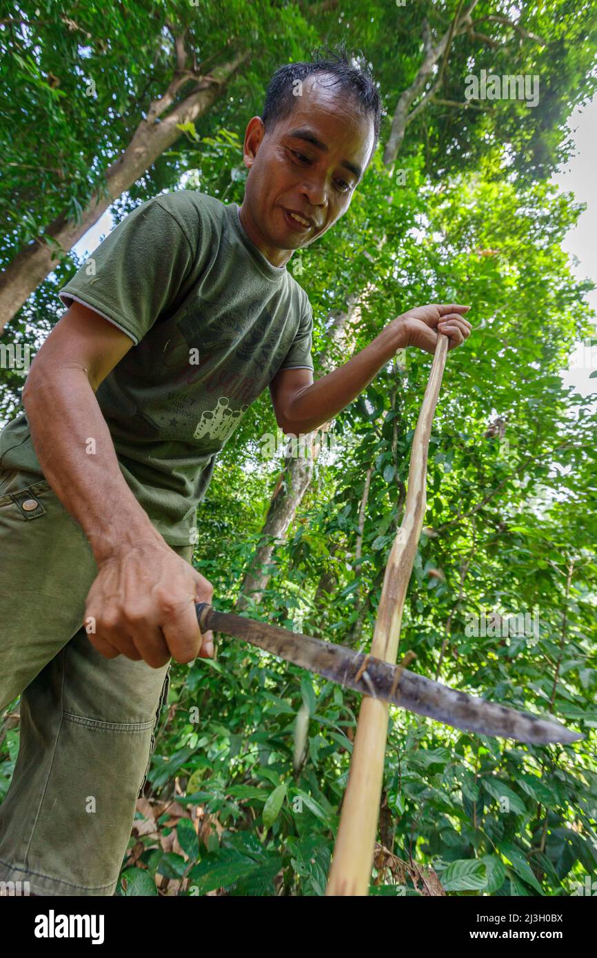 Philippines, Palawan, Rizal, Singnapan Valley, Ransang village, starting point of the trek to meet the Tau't Batu people, a man shapes a piece of wood Stock Photo