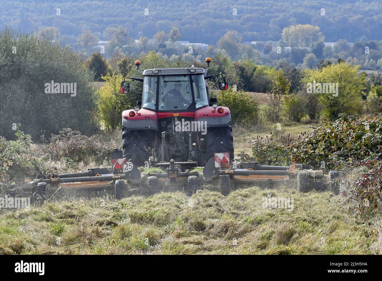 France, Doubs, Brognard, grinding vegetation Stock Photo