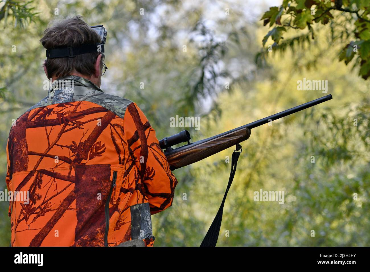 France, Doubs, Brognard, hunting, beaten with wild boars, rifle on hunting chair Stock Photo