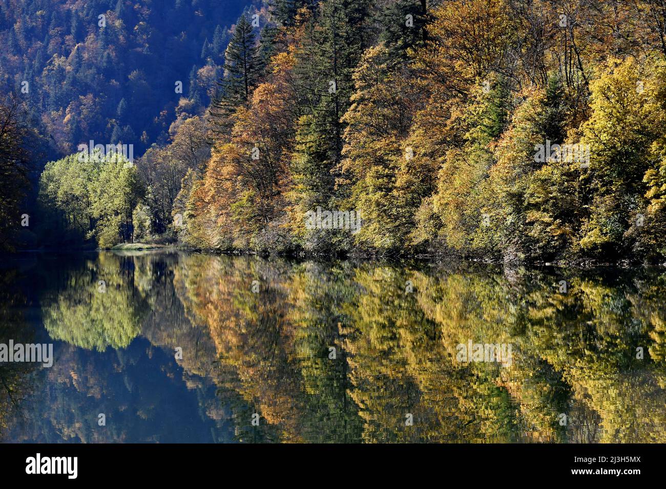 France, Doubs, Haut-Doubs, Swiss border, Biaufond, autumn Stock Photo