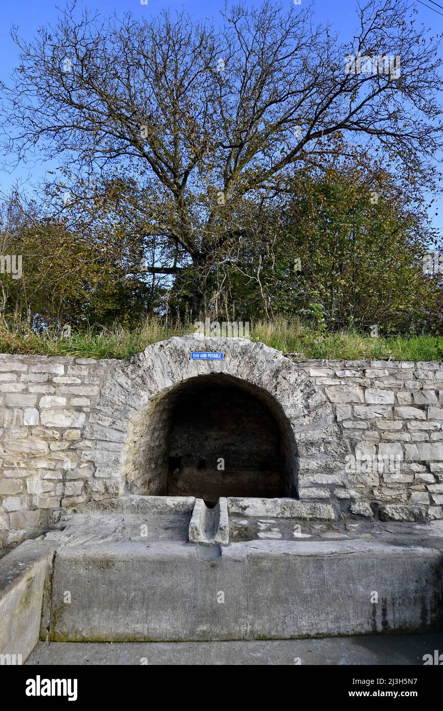 France, Doubs, Brognard, lower fountain, stone vault Stock Photo