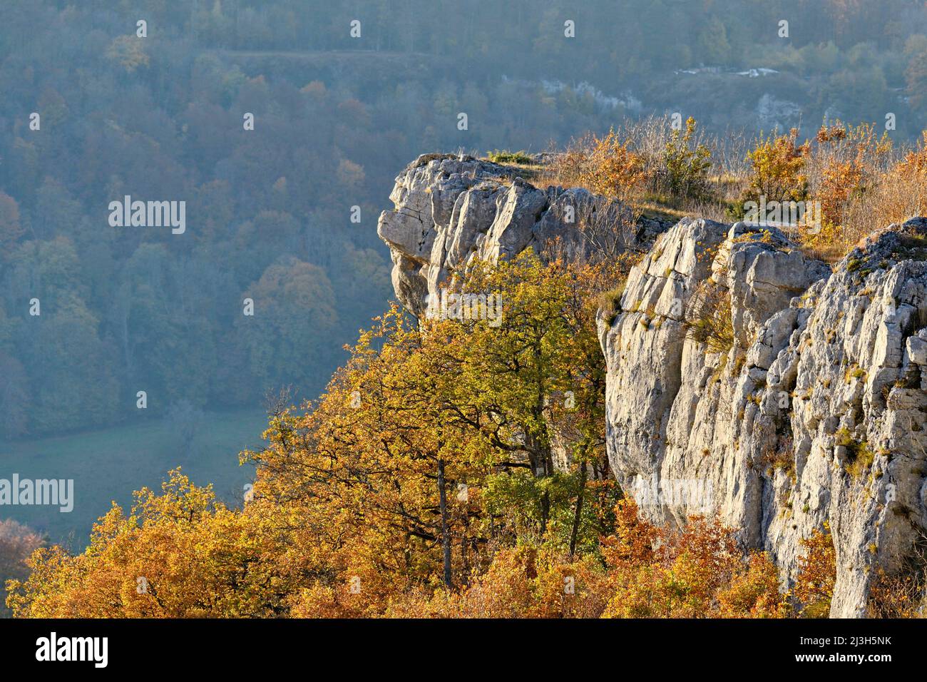 France, Doubs, Pont de Roide, Crêt des Roches, autumn, nature reserve Stock Photo