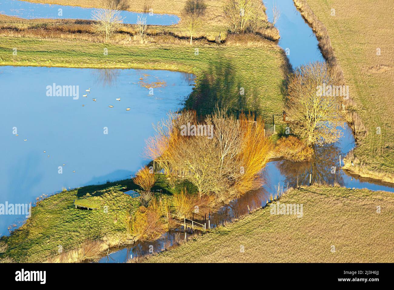 France, Vendee, Angles, Marais Poitevin, channel (aerial view) Stock Photo