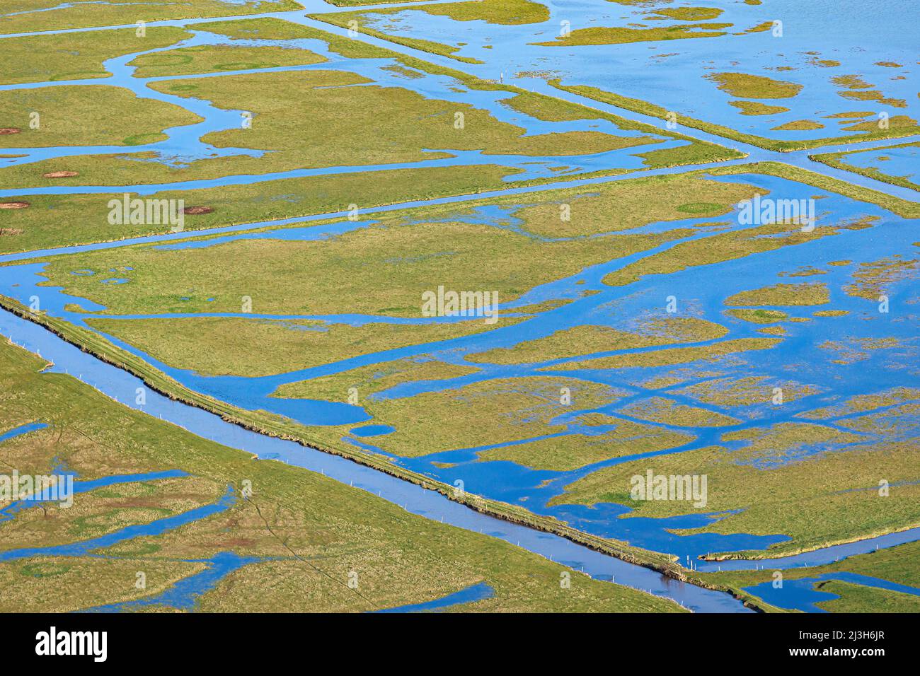 France, Vendee, Lairoux, Marais Poitevin, flooded meadows (aerial view) Stock Photo