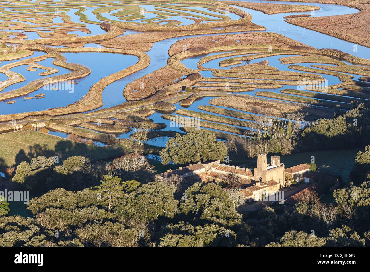 France, Vendee, Talmont Saint Hilaire, Veillon castle and the Guittiere swamps (aerial view) Stock Photo