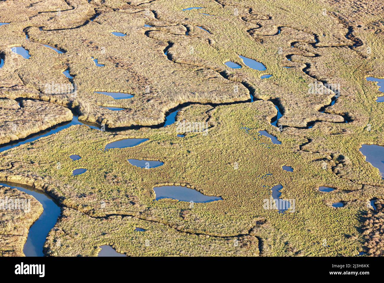France, Vendee, Talmont Saint Hilaire, the Guittiere swamps (aerial view) Stock Photo