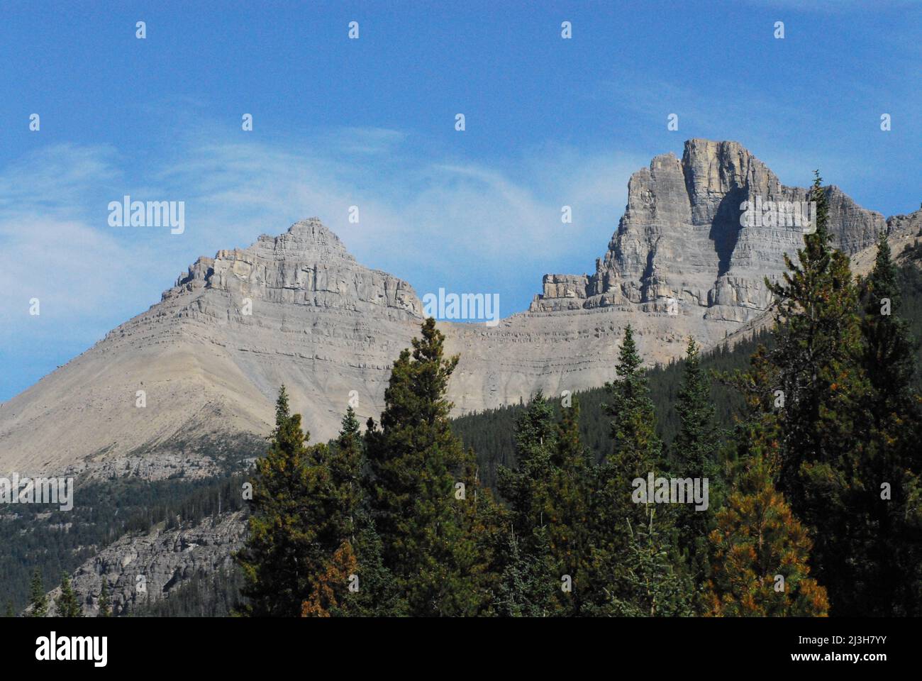 Panoramic landscape of stone mountain peaks and Conifer forest in the Rocky Mountain range of Alberta, Canada. Stock Photo