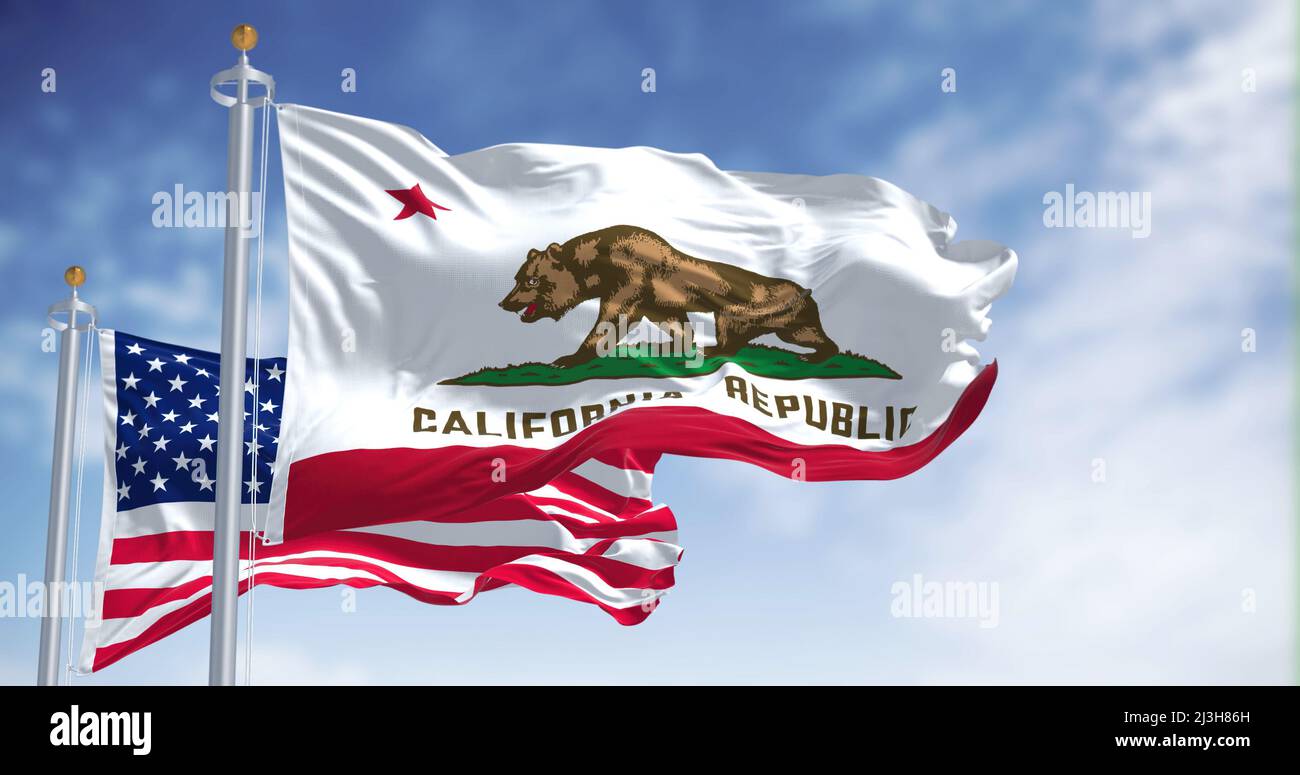 The California state flag flying along with the national flag of the United States of America. In the background there is a clear sky. The flag depict Stock Photo