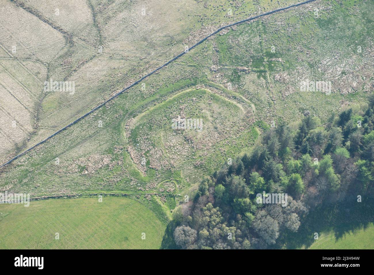 An Iron Age/Romano British enclosed settlement earthwork near Smalesmouth Farm, Northumberland, 2016. Stock Photo