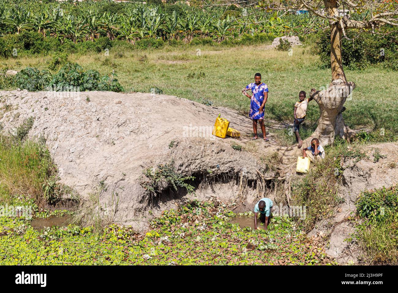 Uganda, Mbarara district, Mburo, children fetching water at the water hole Stock Photo