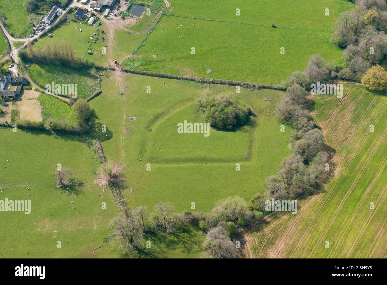 Newton tump hires stock photography and images Alamy