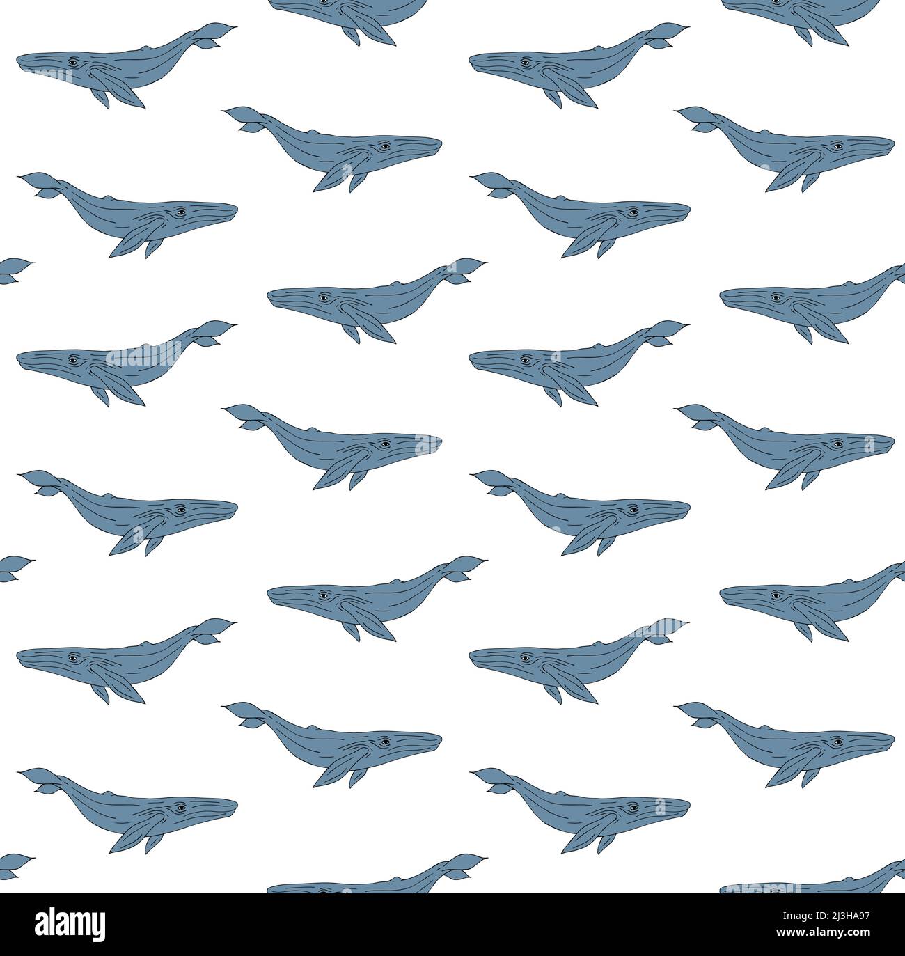 Vector seamless pattern of hand drawn doodle sketch blue whale isolated ...