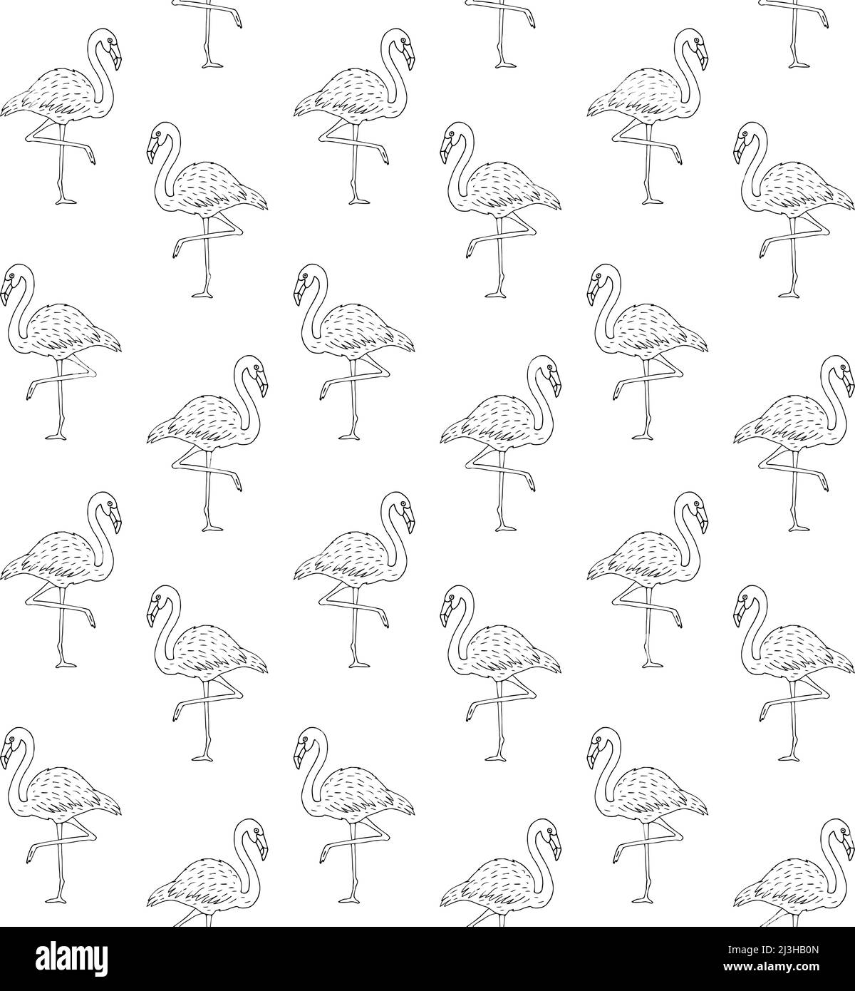 Vector seamless pattern of hand drawn sketch doodle flamingo isolated ...