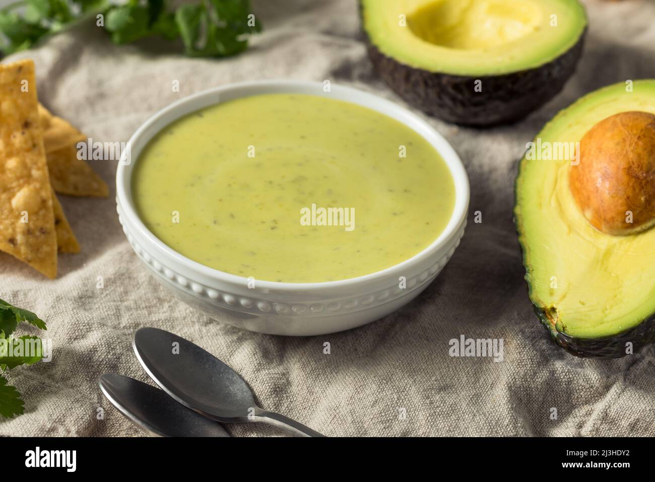 Homemade Mexican Green Avocado Salsa with Tortilla Chips Stock Photo