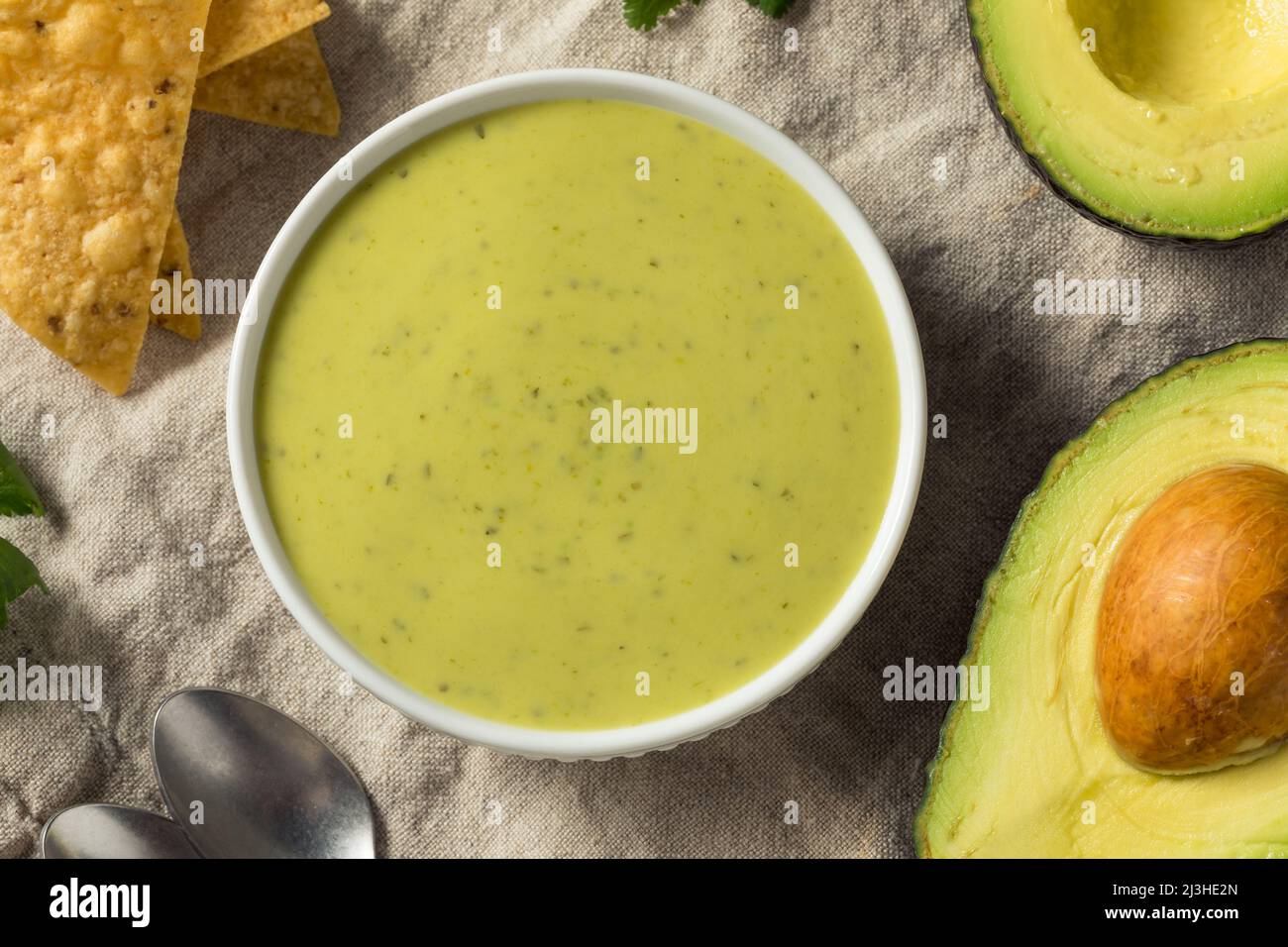 Homemade Mexican Green Avocado Salsa with Tortilla Chips Stock Photo