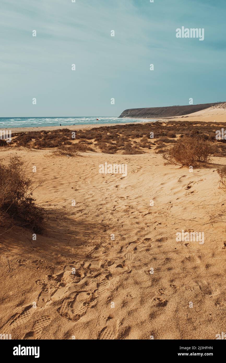 Sandy beach, dunes, sea, sky, Stock Photo