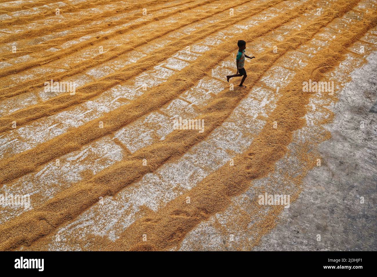 Boy on the golden waves Stock Photo Alamy