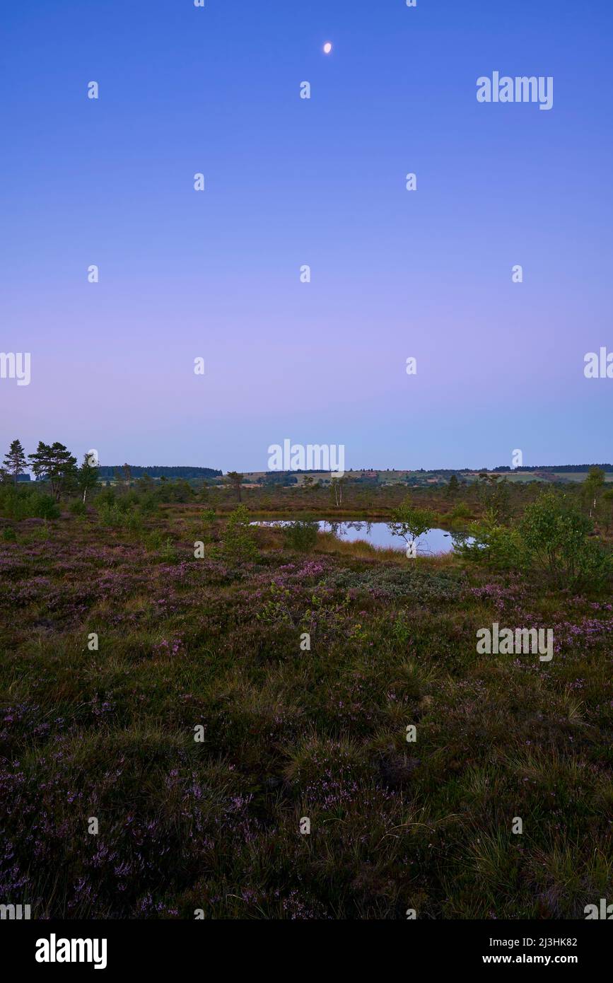 The nature reserve 'Schwarzes Moor' in the morning light, Rhön Biosphere Reserve, Lower Franconia, Franconia, Bavaria, Germany Stock Photo