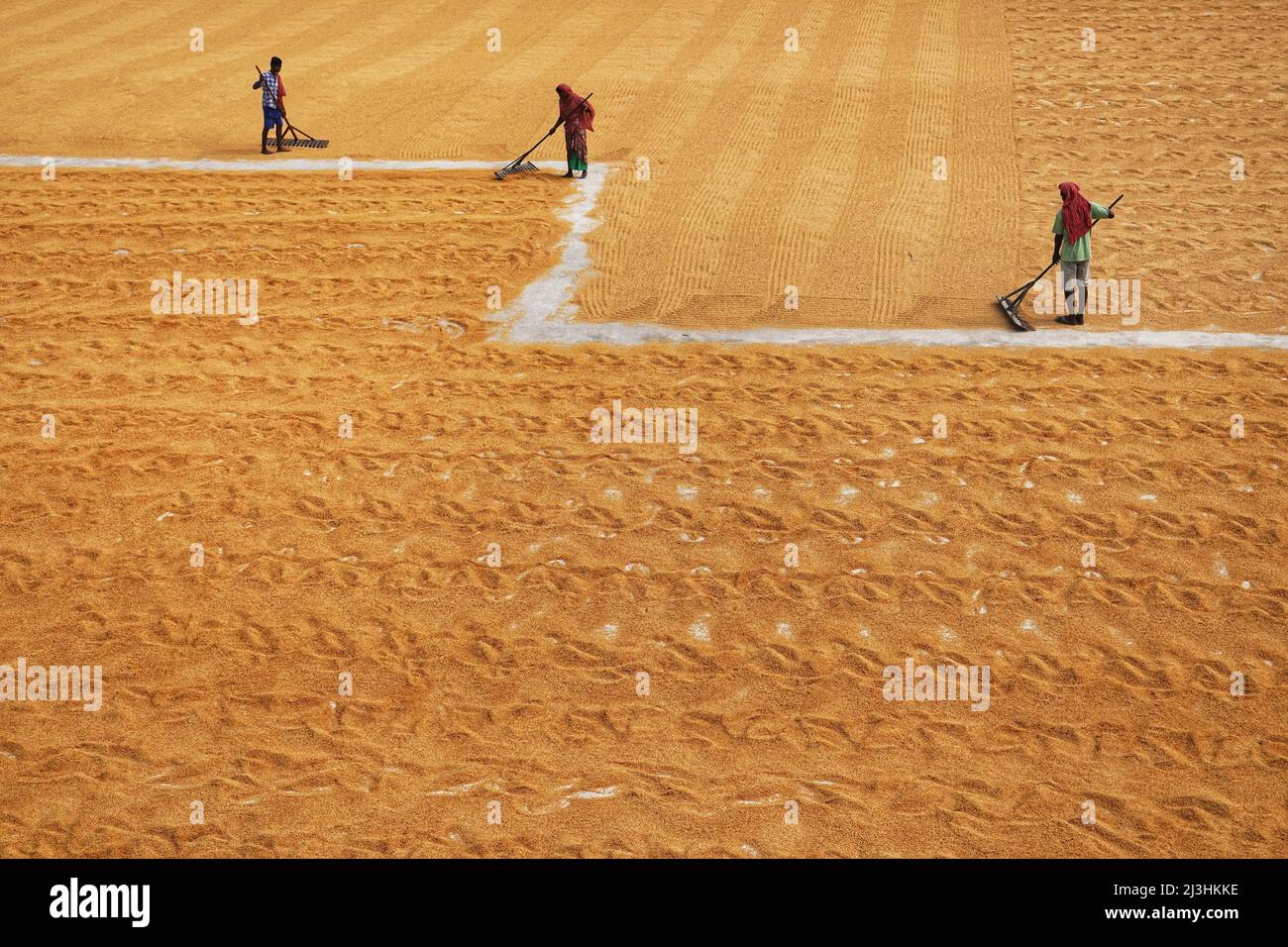 India rice aerial hi-res stock photography and images - Alamy