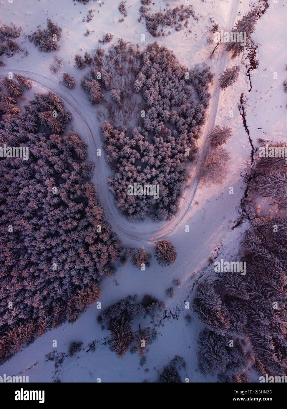 road winding through snow covered trees Stock Photo - Alamy