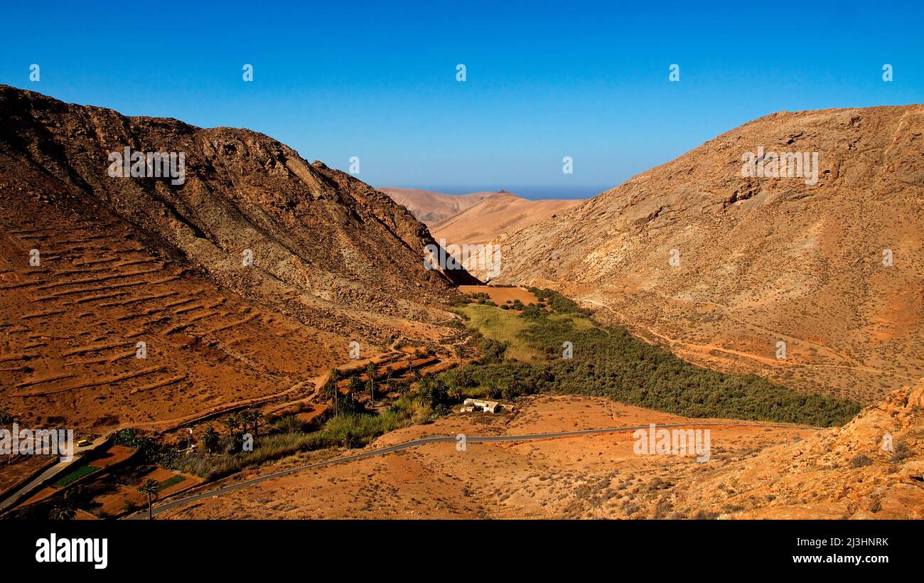 Spain, Canary Islands, Fuerteventura, viewpoint, Mirador de la Penitas, view down to a green valley, to the left and right of it rise barren, brown, barely overgrown hills Stock Photo