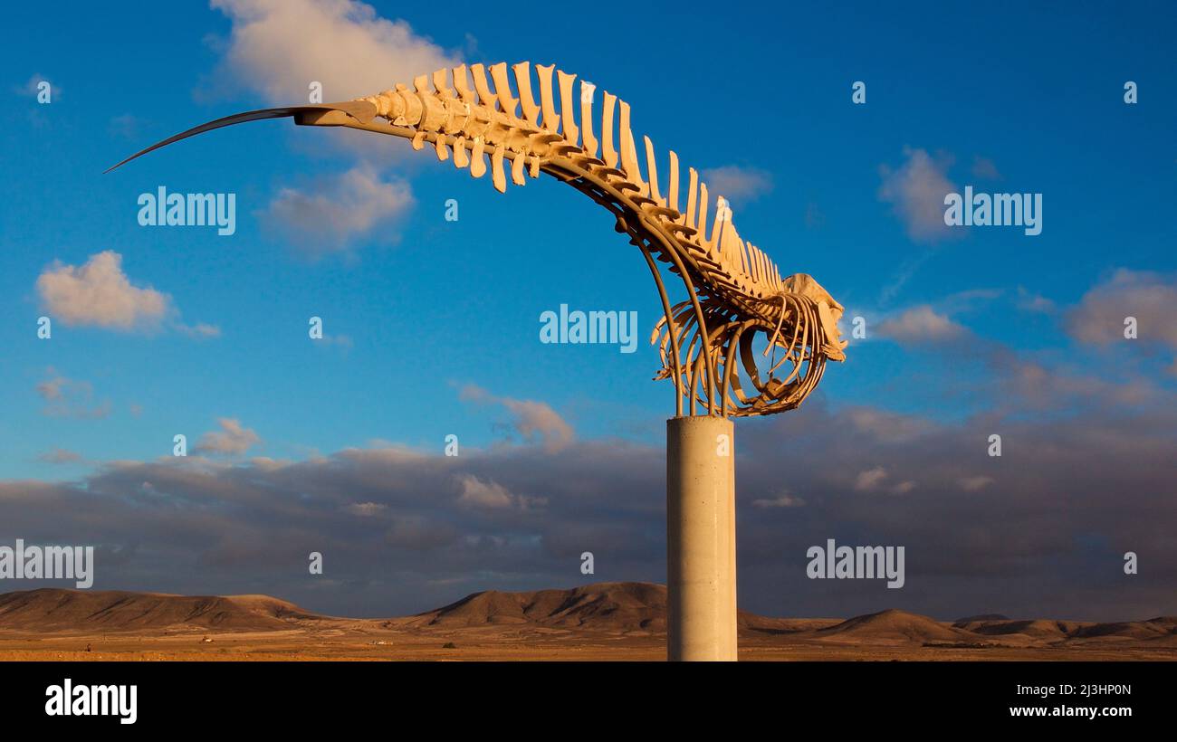 Spain, Canary Islands, Fuerteventura, west coast, Punta de Toston, artwork, dolphin skeleton mounted on concrete column, barren hills in background, sky blue with isolated white clouds Stock Photo