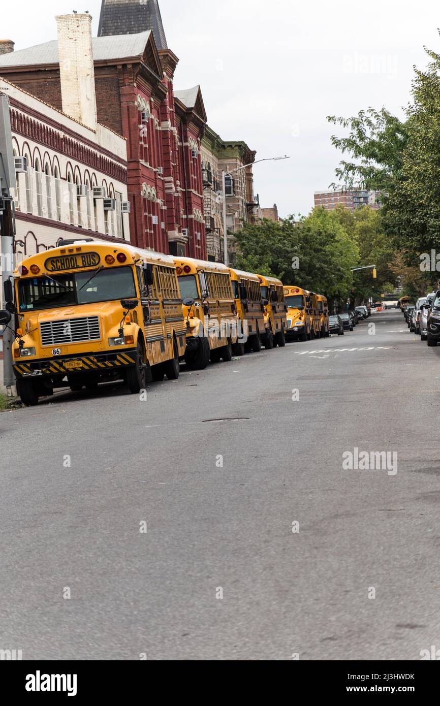 Wiliamsburg, New York City, NY, USA, Lots of school busses Stock Photo