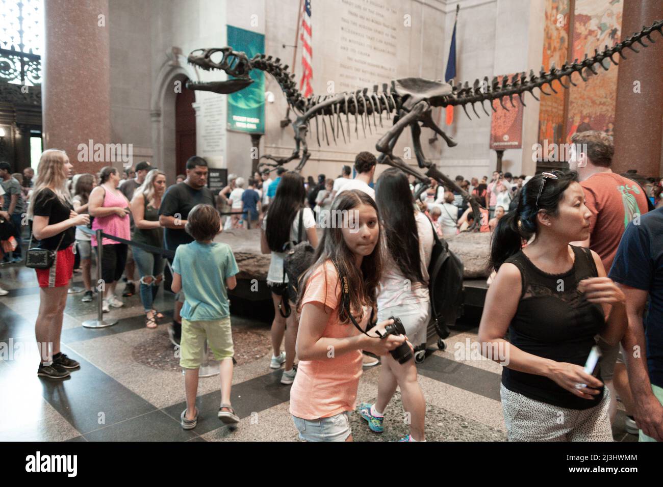 81 STREET MUSEUM OF NATURAL HISTORY, New York City, NY,